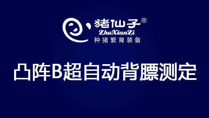 凸阵B超自动背膘测定