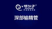 深部输精管