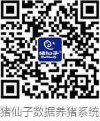 7关于猪仙子11_12.jpg