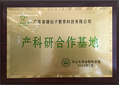 7关于猪仙子_25.jpg