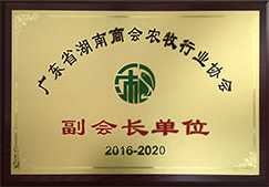 7关于猪仙子_27.jpg