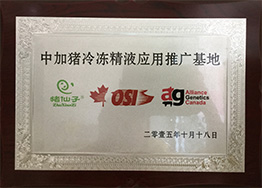 7关于猪仙子_58.jpg