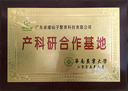 7关于猪仙子_61.jpg