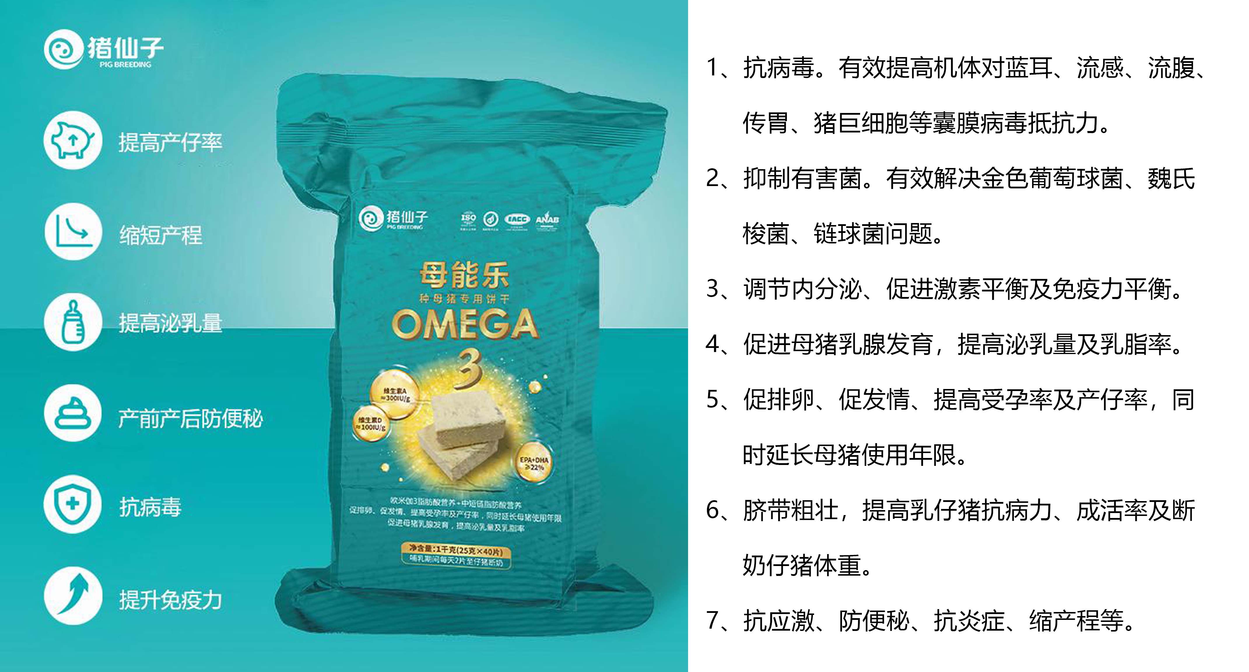 母能乐.jpg 母能乐.jpg